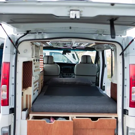 Rent Traffic * Rinas